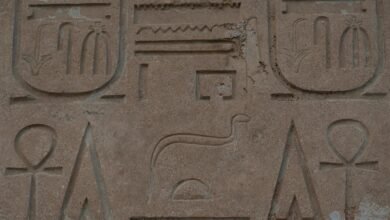 البعثة التنقيبية العراقية الإيطالية تقترح إقامة متحف ثابت في تل محمد