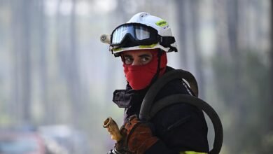 حرائق الغابات وتأثيرها على الاقتصاد الأوروبي